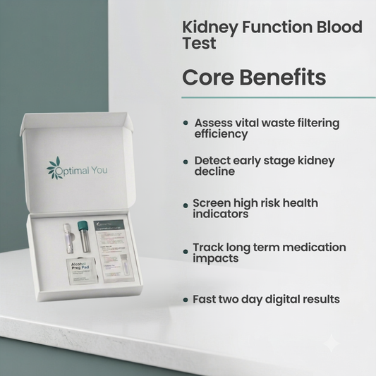 Kidney Function Blood Test