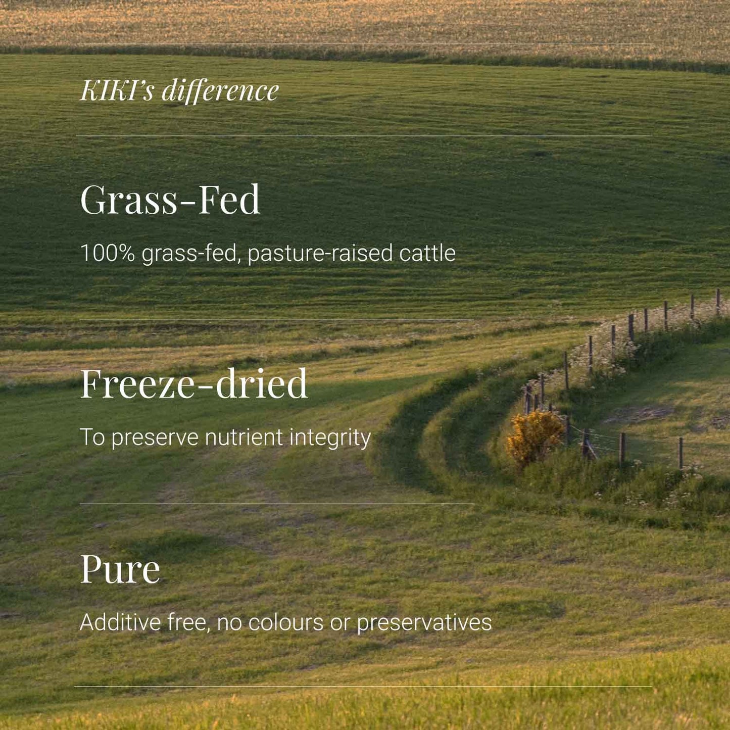 Organic Beef Liver (Grass-Fed & Pasture-Raised) by KIKI Health