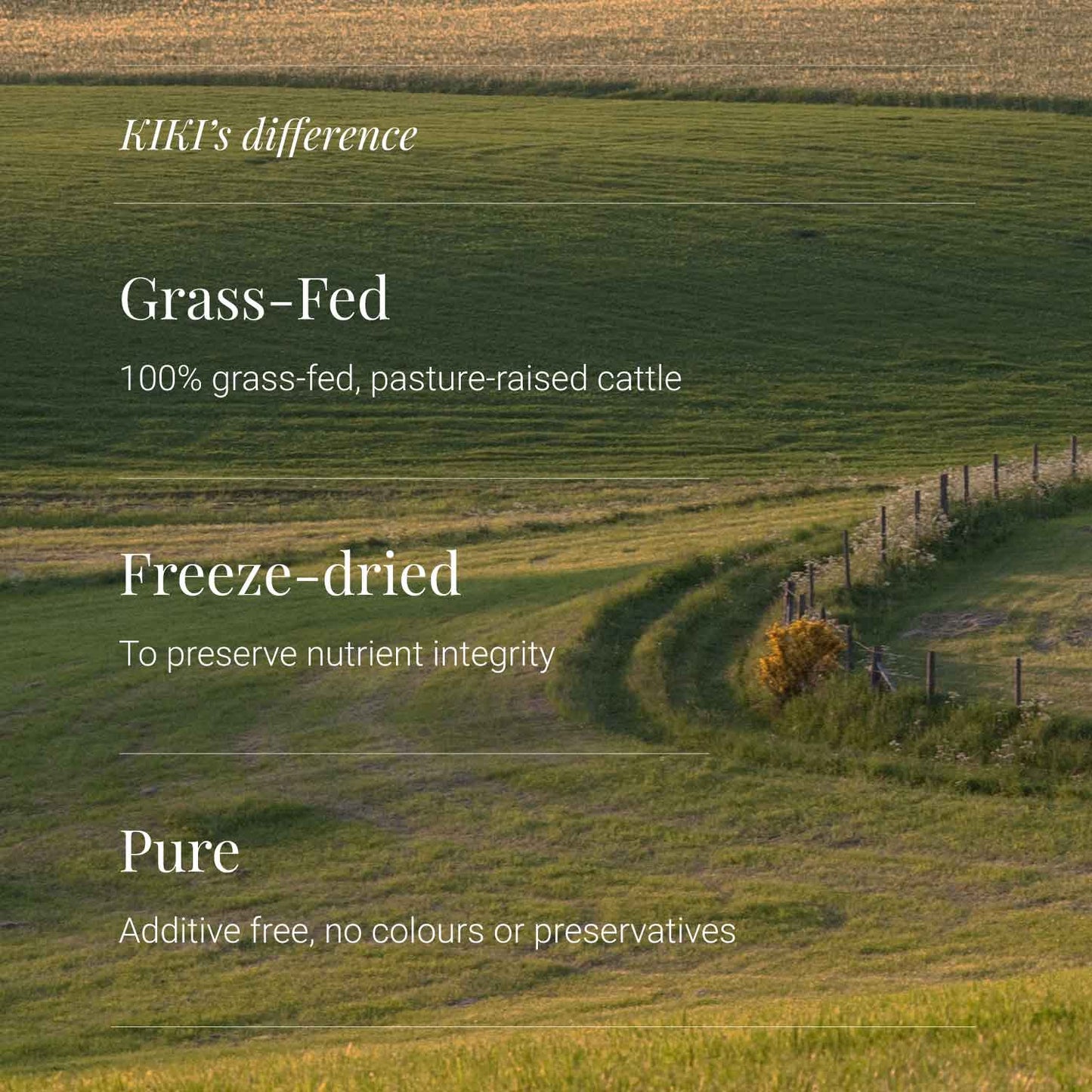 Organic Beef Kidney (Grass-Fed & Pasture-Raised) by KIKI Health
