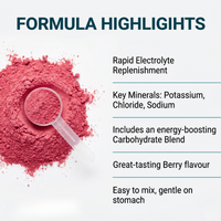 Electrolyte & Carbohydrate Hydration Drink – Berry Flavour (540g Powder)