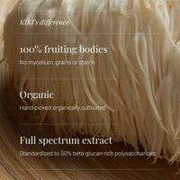 Organic Lion’s Mane Tincture by KIKI Health