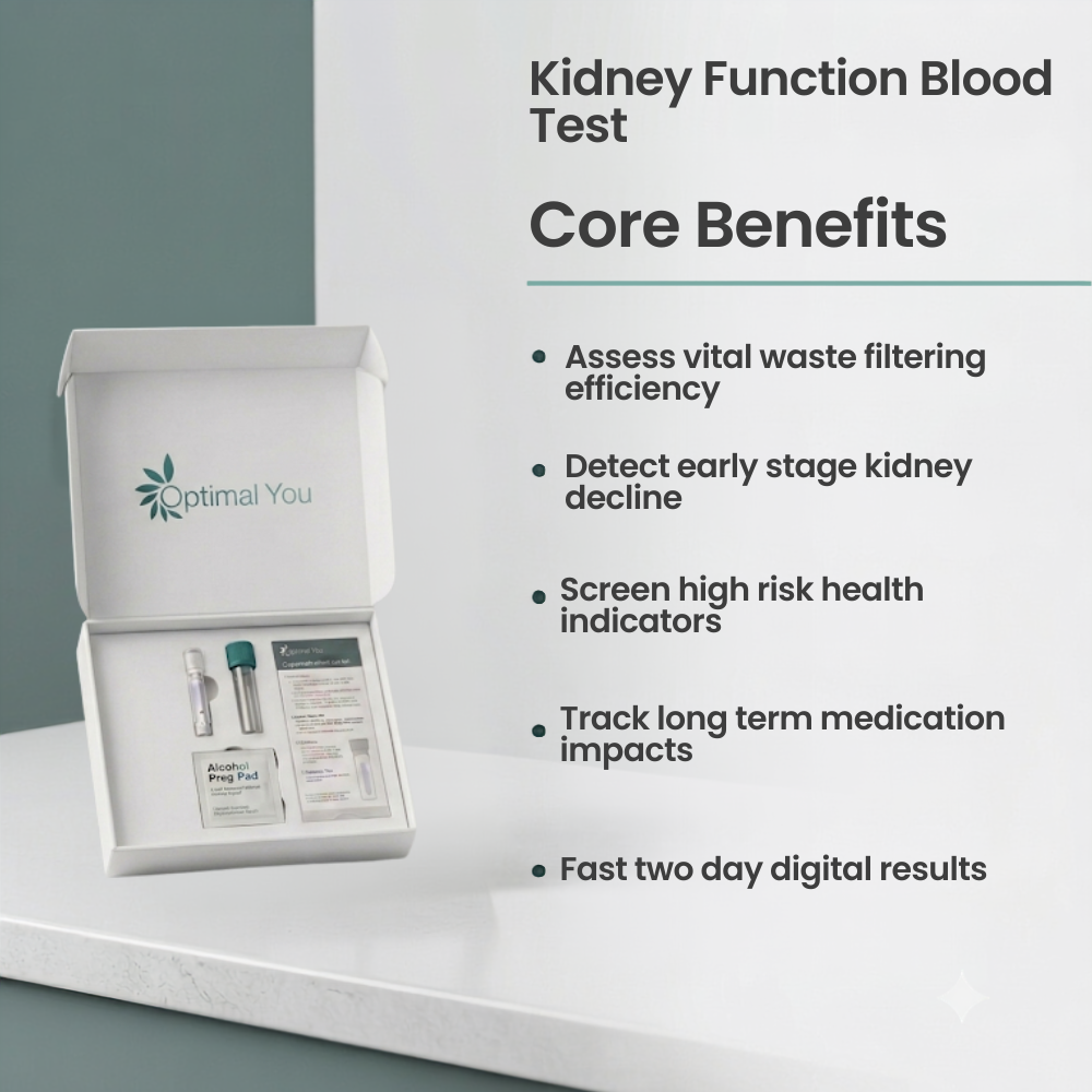 Kidney Function Blood Test